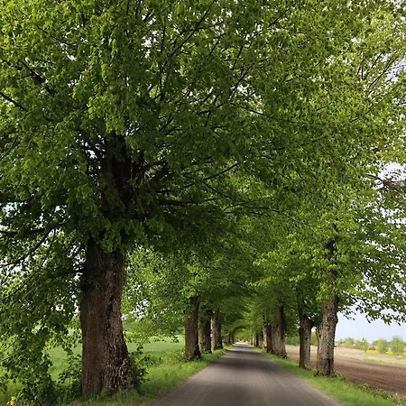 Stara Karczma Appartamento *