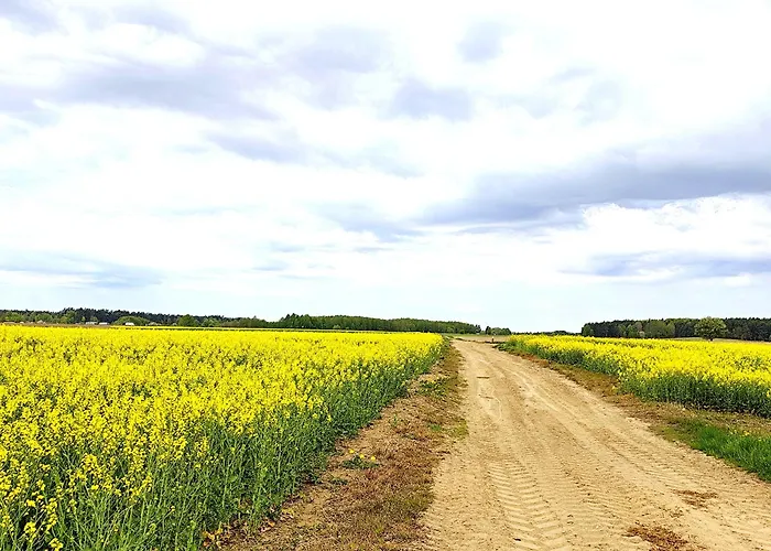 Apartmán Stara Karczma *