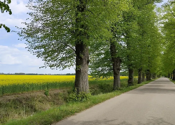 Stara Karczma Apartmán *